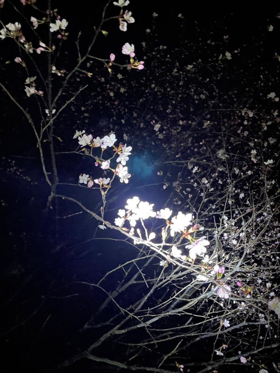 Kinugawa Keisui Hotel Nikkō Luaran gambar