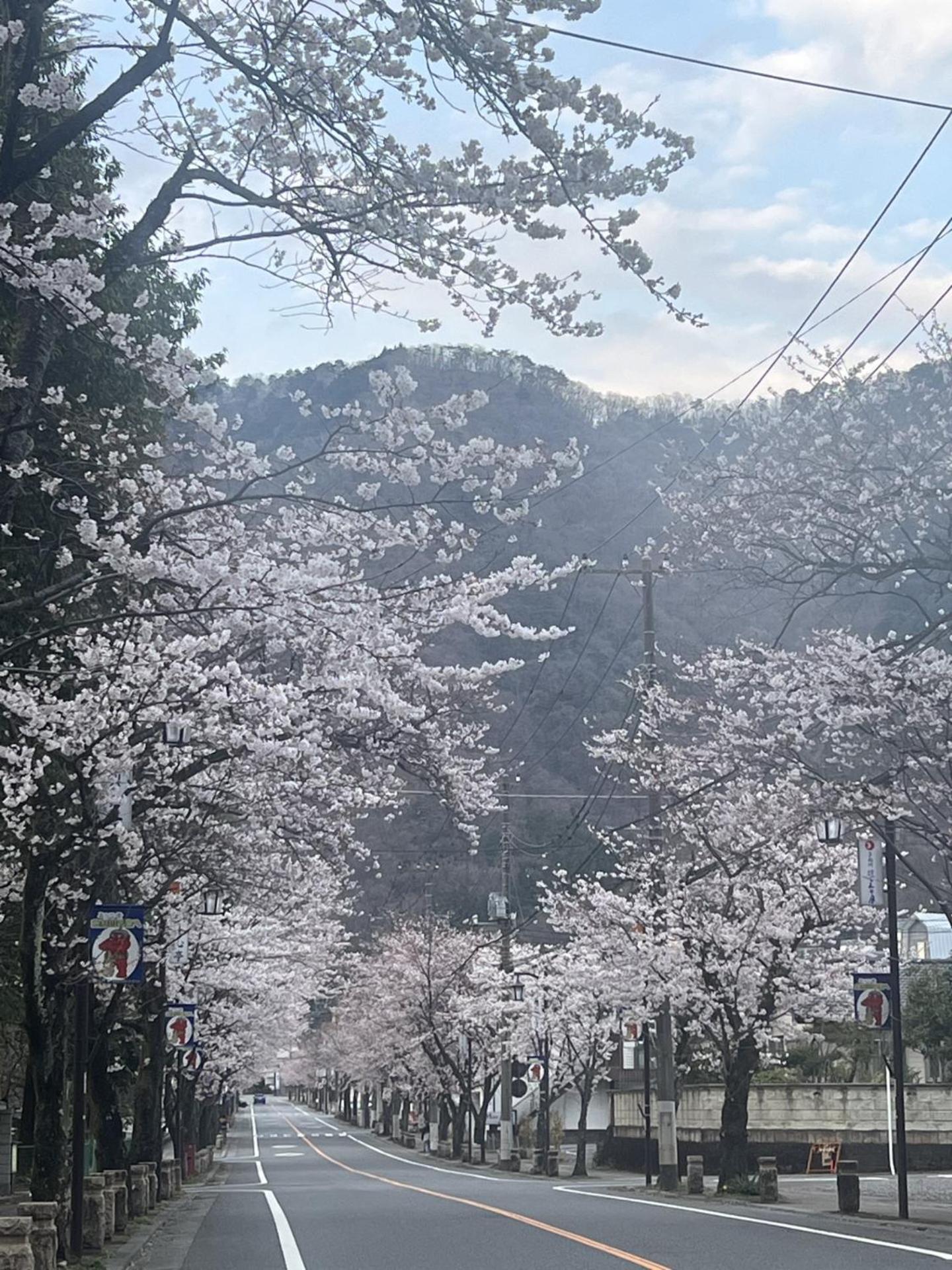 Kinugawa Keisui Hotel Nikkō Luaran gambar