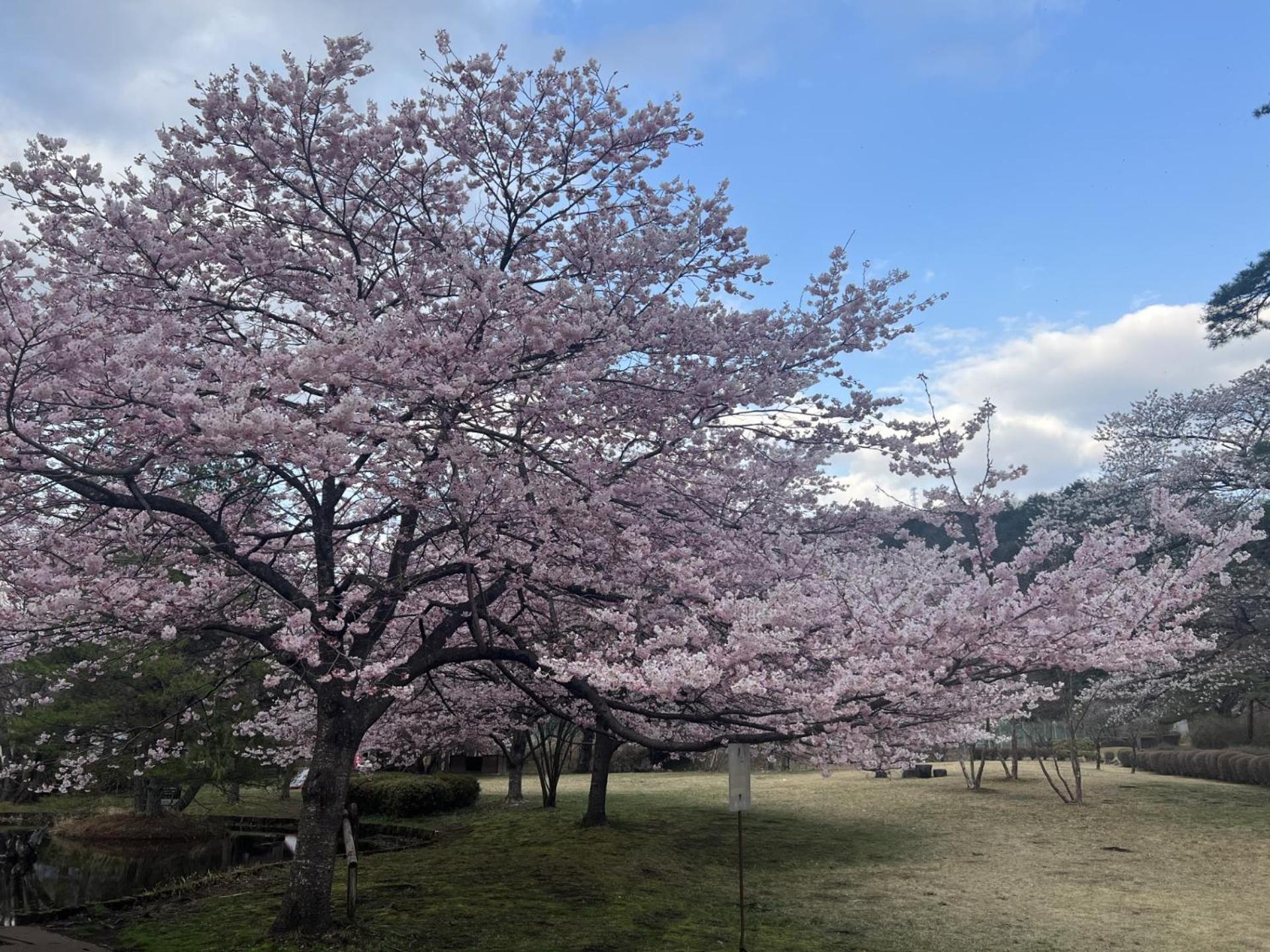 Kinugawa Keisui Hotel Nikkō Luaran gambar