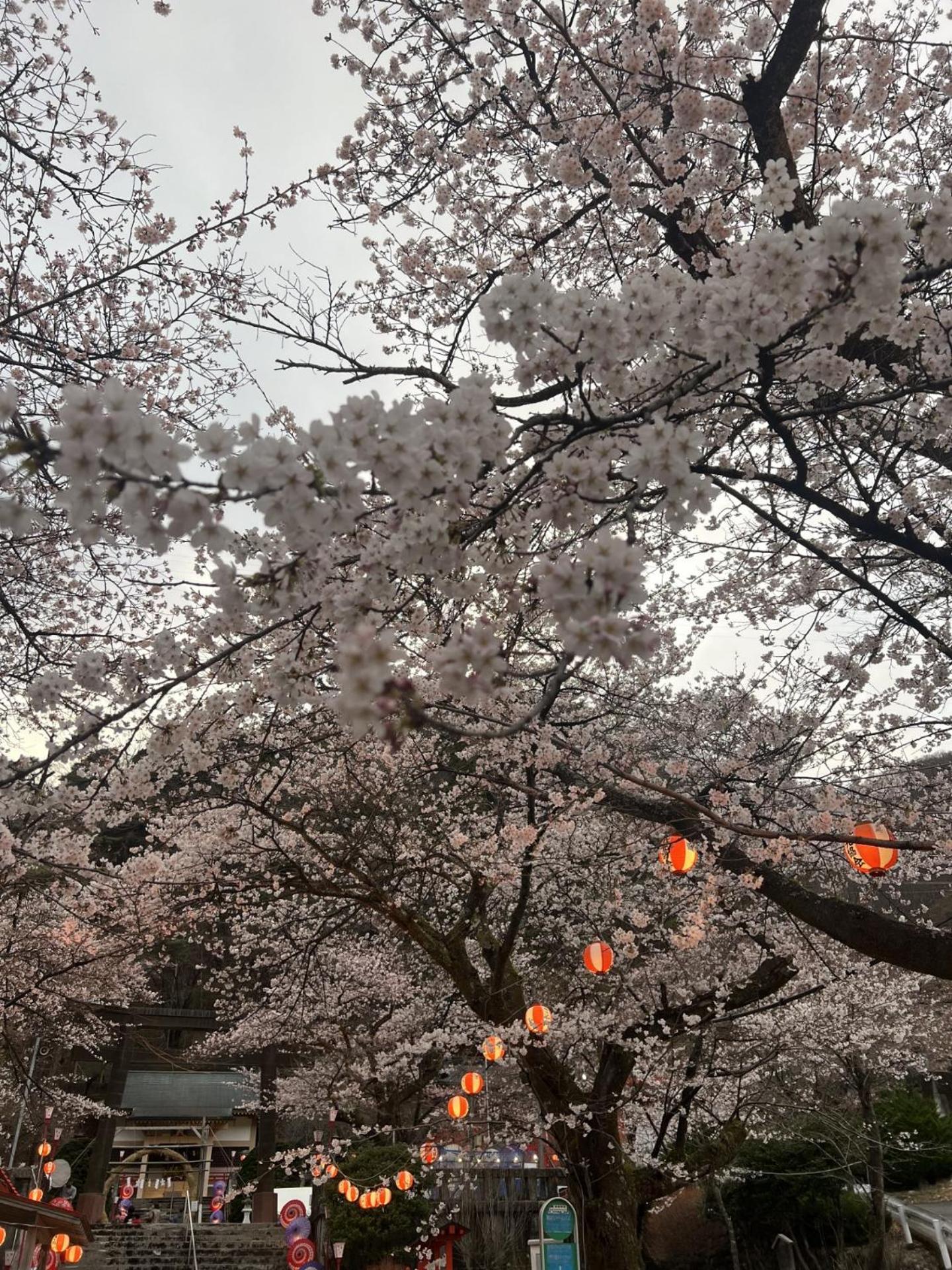 Kinugawa Keisui Hotel Nikkō Luaran gambar